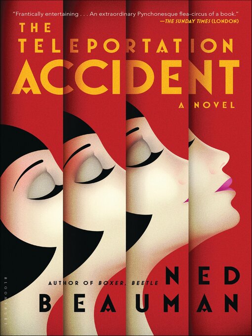 Cover image for The Teleportation Accident